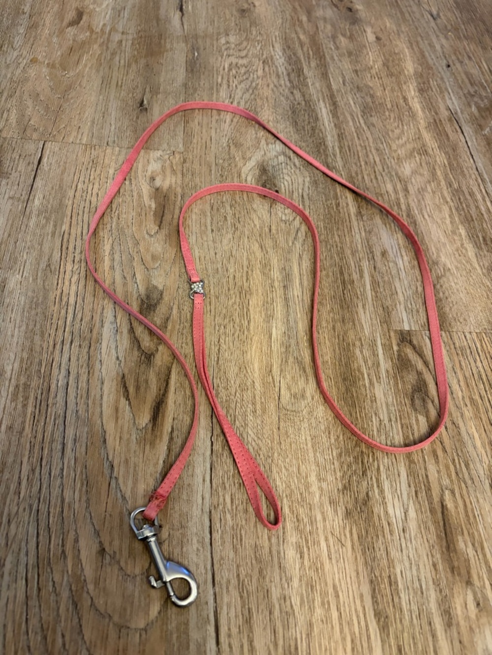 Pink Leather Dog Leash with Silver Hardware & a pink & white collar.